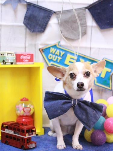 20230428うにちゃん